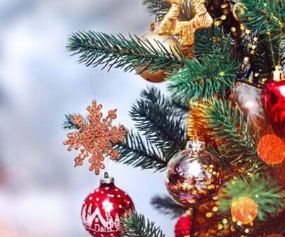 Scopri di più sull'articolo Orari vacanze natalizie